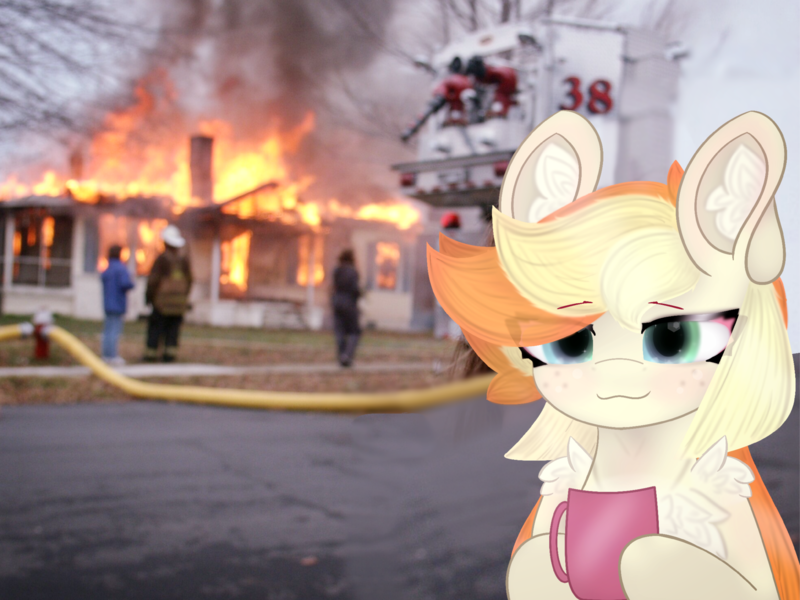 Size: 4023x3017 | Tagged: safe, artist:sodapop sprays, derpibooru import, oc, oc:sodapop sprays, unofficial characters only, pegasus, pony, chest fluff, ear fluff, everything is ruined, fire, freckles, image, meme, mug, png, ponified meme, shoulder fluff, smug, smug smile, solo