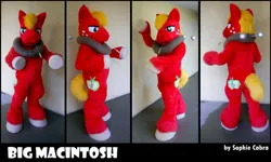 Size: 800x481 | Tagged: safe, artist:spainfischer, derpibooru import, big macintosh, fursuit, horse collar, image, irl, jpeg, multiple views, photo, ponysuit, text