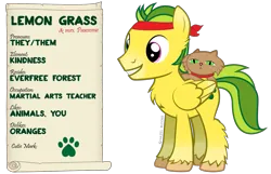 Size: 1521x982 | Tagged: safe, artist:hazel bloons, derpibooru import, oc, unofficial characters only, cat, pegasus, pony, 2024, bandana, blue eyes, brown fur, chest fluff, collar, cutie mark, duo, english, folded wings, full body, green eyes, green mane, green tail, heterochromia, image, magenta eyes, male, png, pronouns, reference sheet, simple background, smiling, stallion, tail, teeth, text, transparent background, wings, yellow coat