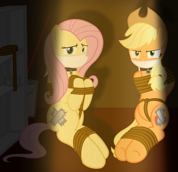 Size: 2000x1939 | Tagged: safe, artist:cardshark777, derpibooru import, applejack, fluttershy, earth pony, pegasus, pony, angry, applejack is not amused, applesub, bondage, bound and gagged, bound wings, bucket, captive, cloth gag, collar, covered cutie mark, digital art, duct tape, femsub, fluttersub, g4, gag, helpless, image, looking at you, over the nose gag, pet tag, png, raised hoof, raised leg, rope, rope bondage, ropes, scared, sitting, submissive, tape, tied up, unamused, wings