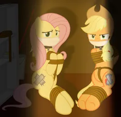 Size: 2000x1939 | Tagged: safe, artist:cardshark777, derpibooru import, applejack, fluttershy, earth pony, pegasus, pony, angry, applejack is not amused, applesub, bondage, bound and gagged, bound wings, bucket, captive, cloth gag, collar, covered cutie mark, digital art, duct tape, femsub, fluttersub, g4, gag, helpless, image, looking at you, over the nose gag, pet tag, png, raised hoof, raised leg, rope, rope bondage, ropes, scared, sitting, submissive, tape, tied up, unamused, wings