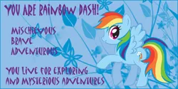 Size: 400x200 | Tagged: safe, derpibooru import, edit, rainbow dash, pegasus, pony, image, jpeg, quiz, solo