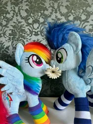 Size: 4284x5712 | Tagged: safe, artist:epicrainbowcrafts, artist:madi, derpibooru import, rainbow dash, soarin', pegasus, pony, clothes, female, flower, image, jpeg, male, photo, plushie, shipping, soarindash, socks, straight