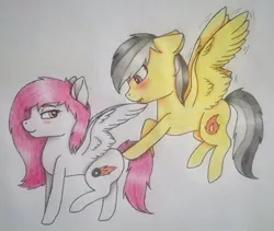 Size: 489x413 | Tagged: artist needed, safe, derpibooru import, oc, oc:kira (fl), oc:thunder (fl), pegasus, pony, blushing, duo, excited, floppy ears, image, jpeg, looking at butt, smiling, traditional art