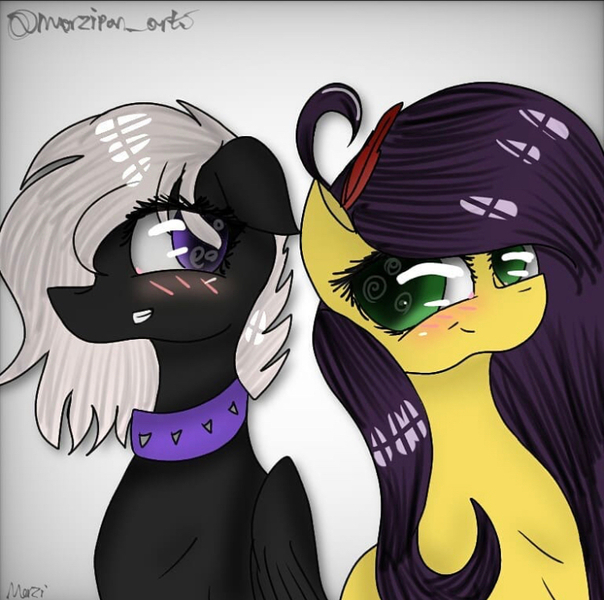 Size: 750x745 | Tagged: safe, artist:marzipan_studios, derpibooru import, oc, oc:marzi, oc:onyxstar (fl), pegasus, pony, choker, duo, floppy ears, image, jpeg, looking at each other, looking at someone, quill, smiling, spiked choker, waist up
