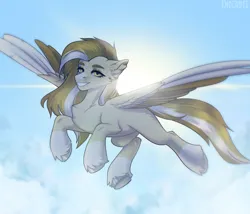 Size: 2800x2400 | Tagged: safe, artist:enderbee, derpibooru import, oc, oc:harvest skies, pegasus, pony, female, image, looking at you, mare, png, sky, smiling, smiling at you, solo, sun, wings