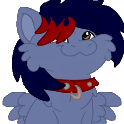 Size: 600x600 | Tagged: safe, alternate version, artist:euspuche, derpibooru import, oc, oc:dawn chaser, unofficial characters only, pegasus, pony, :3, alternate character, animated, cheek fluff, chest fluff, collar, commission, cute, fangs, gif, hair over one eye, image, male, male oc, meme, pegasus oc, ponified animal photo, pony oc, pop cat, simple background, spread wings, stallion, stallion oc, transparent background, two toned mane, wings, ych result