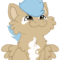 Size: 600x600 | Tagged: safe, alternate version, artist:euspuche, derpibooru import, oc, oc:onyx, unofficial characters only, pegasus, pony, :3, alternate character, animated, cheek fluff, chest fluff, coat markings, commission, cute, fangs, gif, image, male, male oc, meme, pegasus oc, ponified animal photo, pony oc, pop cat, simple background, spread wings, stallion, stallion oc, transparent background, wings, ych result