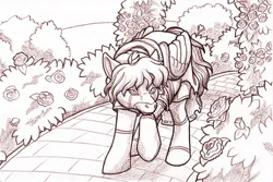 Size: 1280x853 | Tagged: safe, artist:asheskyler, derpibooru import, oc, unofficial characters only, pegasus, pony, robot, robot pony, clothes, flower, garden, image, jpeg, male, monochrome, rose, solo, traditional art, walking