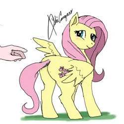 Size: 512x512 | Tagged: safe, artist:ashi, derpibooru import, fluttershy, human, pegasus, pony, butt, female, hand, image, jpeg, looking back, low quality, mare, offscreen character, plot, solo