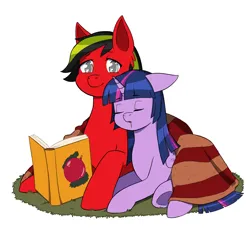 Size: 2000x2000 | Tagged: safe, artist:erein, derpibooru import, twilight sparkle, twilight sparkle (alicorn), oc, oc:dark, alicorn, changeling, pegasus, pony, book, canon x oc, changeling oc, christmas, colored, commission, cute, duo, duo male and female, ears up, eyes closed, female, flat colors, floppy ears, g4, happy, high res, holiday, horn, image, jpeg, male, multicolored hair, reading, red mane, shipping, simple background, sleeping, straight, white background, wings