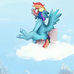 Size: 4000x4000 | Tagged: suggestive, artist:miokomata, derpibooru import, rainbow dash, pegasus, pony, but why, cloud, female, floppy ears, gritted teeth, image, jpeg, mare, on a cloud, red face, sitting, solo, spread wings, teeth, toilet, wings