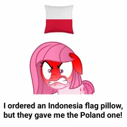 Size: 1440x1440 | Tagged: safe, ponerpics import, ponybooru import, oc, oc:annisa trihapsari, angry, image, indonesia, indonesian, jpeg, pillow, poland