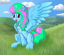 Size: 2500x2160 | Tagged: safe, alternate version, artist:callichrome, derpibooru import, oc, unofficial characters only, pegasus, pony, g5, chest fluff, coat markings, dappled, female, grass, grassy hills, image, looking at you, outdoors, pegasus oc, png, smiling, smiling at you, solo, spread wings, waving, waving at you, wings