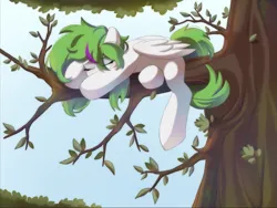 Size: 1789x1343 | Tagged: safe, artist:heashtsu, derpibooru import, oc, oc:dife, unofficial characters only, pegasus, pony, commission, cute, female, green mane, image, mare, png, sky, sleeping, solo, tree, tree branch, white coat, ych result