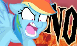 Size: 2408x1435 | Tagged: artist needed, safe, derpibooru import, rainbow dash, pony, angry, explosion, female, g4, image, jpeg, no, one word, reaction image, solo