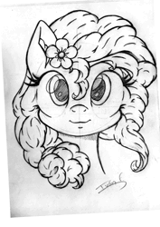 Size: 906x1280 | Tagged: safe, artist:memprices, derpibooru import, pear butter, earth pony, pony, animated, bangs, blushing, bust, colored, curly mane, female, flower, flower in hair, front view, g4, image, looking at you, mare, pencil drawing, ponytail, portrait, simple background, smiling, smiling at you, solo, song in the description, speedpaint, time-lapse, traditional art, webm, white background, you're in my head like a catchy song