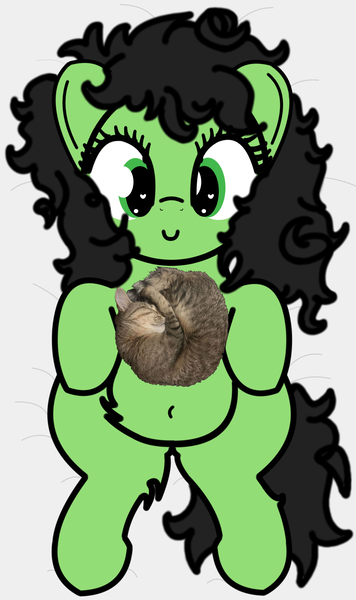 Size: 2080x3508 | Tagged: safe, artist:redcrow32, derpibooru import, oc, oc:anonfilly, unofficial characters only, cat, pony, bed, belly, female, filly, fluffy, foal, image, irl, irl cat, irl photo, laying on bed, lying down, messy mane, on bed, photo, png, solo
