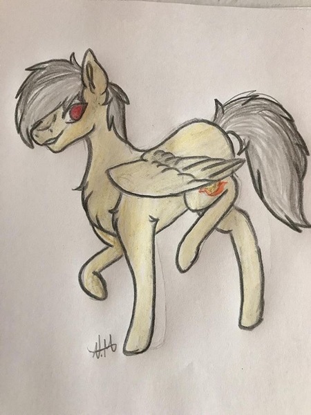 Size: 640x853 | Tagged: safe, artist:nahio.michelle7, derpibooru import, oc, oc:thunder (fl), pegasus, pony, chest fluff, fur, image, jpeg, simple background, solo, traditional art