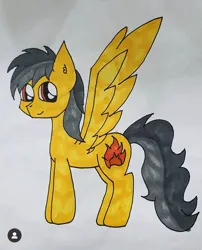 Size: 750x926 | Tagged: artist needed, safe, derpibooru import, screencap, oc, oc:thunder (fl), unofficial characters only, pegasus, pony, image, jpeg, simple background, traditional art
