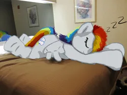 Size: 1200x900 | Tagged: safe, artist:spainfischer, derpibooru import, edit, rainbow dash, anthro, human, pegasus, pony, 2011, bed, bedroom, derpibooru exclusive, drawover, fursuit, g4, image, irl, irl human, lying down, mirror, onomatopoeia, photo, png, ponysuit, prone, sleeping, smiling, solo, sound effects, trace, zzz