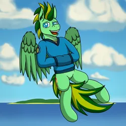 Size: 2000x2000 | Tagged: safe, artist:tacomytaco, derpibooru import, oc, oc:taco.m.tacoson, unofficial characters only, pegasus, pony, clothes, cloud, flying, hand in pocket, hoodie, image, looking at you, male, open mouth, png, sky, smiling, solo, solo male, spread wings, water, wings