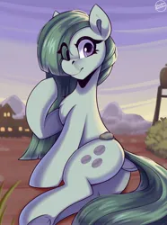 Size: 3500x4700 | Tagged: safe, artist:shadowreindeer, derpibooru import, marble pie, earth pony, pony, boulder, boulder (g4), butt, dock, eye clipping through hair, female, g4, image, jpeg, mare, plot, rear view, signature, solo, tail