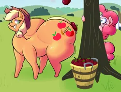 Size: 4600x3500 | Tagged: suggestive, artist:disco chaos, artist:editanon, derpibooru import, applejack, pinkie pie, earth pony, pony, applebutt, applefat, butt, chubby, duo, duo female, extra thicc, fat, female, g4, hiding, huge butt, image, impossibly large butt, large butt, orchard, plot, plump, png, shocked, smiling, stretched cutie mark, sweat, the ass was fat, thighs, thunder thighs, wide hips