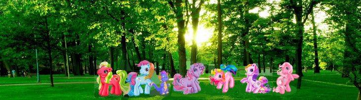 Size: 730x203 | Tagged: safe, derpibooru import, applejack (g3), fluttershy (g3), master kenbroath gilspotten heathspike, pinkie pie (g3), rainbow dash (g3), rarity (g3), twilight twinkle, pony, g3, generation leap, image, irl, photo, png, ponies in real life, remake