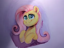 Size: 2048x1542 | Tagged: safe, artist:avui, derpibooru import, fluttershy, pegasus, bust, image, jpeg, solo, traditional art