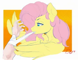 Size: 2472x1905 | Tagged: safe, artist:thelunarmoon, derpibooru import, fluttershy, human, pegasus, pony, bandage, colored sketch, disembodied hand, female, hand, image, jpeg, mare, mouth hold, offscreen character, sketch, solo focus