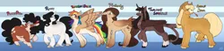 Size: 4018x928 | Tagged: safe, alternate version, artist:greenarsonist, derpibooru import, applejack, fluttershy, pinkie pie, rainbow dash, rarity, twilight sparkle, twilight sparkle (alicorn), alicorn, earth pony, pegasus, pony, unicorn, alternate design, chubby, fat, female, folded wings, headcanon, horn, image, mane six, muscles, muscular female, natural eye color, natural hair color, nonbinary, png, skinny, spread wings, straw in mouth, thin, tooth, trans female, transgender, unshorn fetlocks, wings