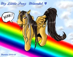 Size: 600x470 | Tagged: artist needed, source needed, safe, derpibooru import, pegasus, pony, 2005, black hair, character name, cloud, day, full body, heart, image, jpeg, open mouth, rainbow, sky, solo, speech bubble, text