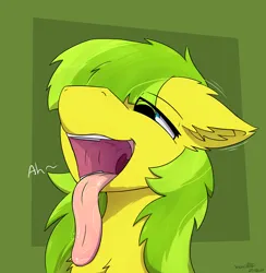 Size: 2000x2047 | Tagged: suggestive, artist:monycaalot, derpibooru import, oc, oc:lemon drop, unofficial characters only, earth pony, pony, chest fluff, commission, commissioner:lemondrop, drool, drool string, ear fluff, eye clipping through hair, female, floppy ears, image, lidded eyes, long tongue, mawshot, open mouth, png, signature, solo, solo female, tongue out, uvula, ych result