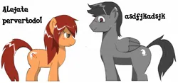 Size: 1336x626 | Tagged: safe, artist:mizu wolf, derpibooru import, oc, unofficial characters only, earth pony, pegasus, pony, blushing, embarrassed, female, image, jpeg, male, mare, simple background, spanish, stallion, white background