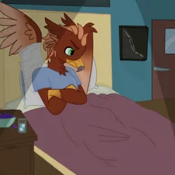 Size: 724x720 | Tagged: safe, artist:emma_rose, derpibooru import, oc, oc:pavlos, gryphon, bandage, beak, bed, broken bone, broken wing, cast, claws, clothes, colored wings, commission, eared griffon, griffon oc, grumpy, hospital, hospital gown, image, injured, male, non-pony oc, png, tail, wings, x-ray picture