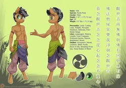 Size: 5000x3500 | Tagged: safe, artist:atryl, derpibooru import, oc, oc:tida, unofficial characters only, anthro, earth pony, unguligrade anthro, absurd resolution, anthro oc, chinese text, clothes, image, male, moon runes, outline, pants, partial nudity, png, reference sheet, solo, tattoo, topless
