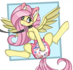 Size: 1280x1229 | Tagged: suggestive, artist:cuddlelamb, derpibooru import, fluttershy, original species, pegasus, plush pony, pony, blushing, collar, crotch grab, diaper, diaper fetish, diapered, ear fluff, ears, face, female, fetish, flutterpet, g4, image, jpeg, leash, mare, non-baby in diaper, open mouth, passepartout, pet play, plushie, poofy diaper, simple background, solo, solo female, spread legs, spread wings, spreading, teeth, white background, wings