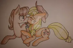 Size: 750x499 | Tagged: safe, artist:bleedingwings12, derpibooru import, applejack, caramel, earth pony, pony, female, image, jpeg, kiss on the lips, kissing, male, mare, ship:carajack, shipping, stallion, straight, traditional art