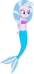 Size: 593x1289 | Tagged: safe, artist:fireluigi29, derpibooru import, edit, vector edit, silverstream, mermaid, equestria girls, belly button, equestria girls-ified, female, g4, image, jewelry, lipstick, mermaidized, midriff, necklace, png, simple background, solo, species swap, transparent background, tube top, vector
