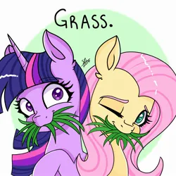 Size: 2000x2000 | Tagged: safe, artist:galaxy swirl, derpibooru import, fluttershy, twilight sparkle, alicorn, pegasus, pony, eating, food, full mouth, grass, horses doing horse things, image, jpeg, one eye closed