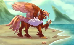 Size: 3280x2003 | Tagged: safe, artist:malinraf1615, derpibooru import, oc, oc:pearl diver, classical hippogriff, hippogriff, bandage, beach, beak, broken bone, broken wing, cast, claws, colored wings, commission, happy, hippogriff oc, hippogriffied, image, injured, jewelry, male, mount aris, necklace, png, seashell, sling, species swap, tail, wings