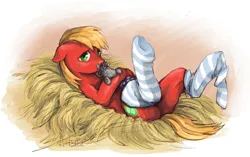Size: 1573x988 | Tagged: safe, artist:audrarius, derpibooru import, big macintosh, smarty pants, earth pony, pony, butt, clothes, female, floppy ears, frown, hay, hug, image, jpeg, looking at you, lying down, macareina, on back, plot, rule 63, socks, solo, striped socks, thigh highs