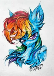 Size: 1458x2048 | Tagged: safe, artist:rozmed, derpibooru import, rainbow dash, pegasus, pony, chest fluff, ear fluff, female, image, jpeg, mare, simple background, solo, traditional art, white background