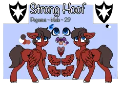 Size: 985x689 | Tagged: safe, artist:fluffyghost, derpibooru import, oc, oc:guard strong hoof, unofficial characters only, pegasus, image, male, png, prisoners of the moon, reference sheet, solo