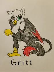 Size: 3024x4032 | Tagged: safe, artist:lispp, artist:veprem, derpibooru import, oc, oc:gritt, unofficial characters only, gryphon, colored, griffon oc, image, jpeg, male, missing eye, skinny, thin, trace, traditional art