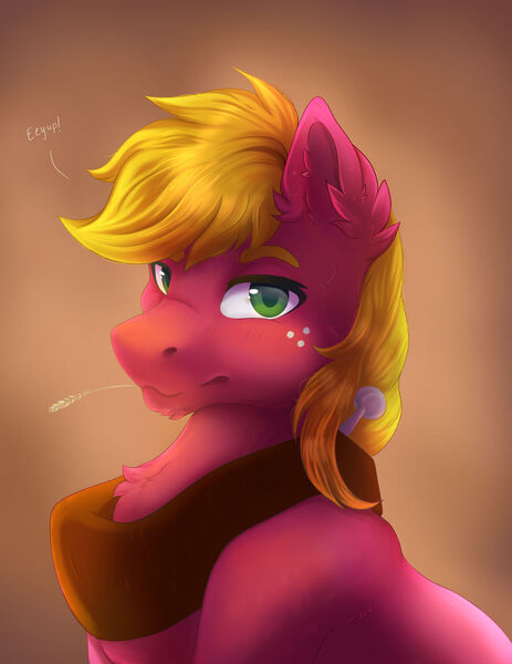 Size: 1280x1657 | Tagged: safe, artist:serenity, derpibooru import, big macintosh, pony, apple family, apple family member, bust, chest fluff, ear fluff, eeyup, g4, green eyes, image, jpeg, looking at you, portrait, shiny, simple background, straw, wheat