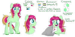 Size: 3000x1500 | Tagged: safe, artist:lindasaurie, derpibooru import, oc, oc:strawi dinosaur, unofficial characters only, earth pony, pony, shark, agender, agender pride flag, aroace pride flag, bust, chest fluff, eye clipping through hair, eyebrows, eyebrows visible through hair, full body, image, lineless, looking at you, open mouth, png, ponysona, pride, pride flag, raised hoof, reference sheet, side view, simple background, smiling, solo, transparent background, unshorn fetlocks