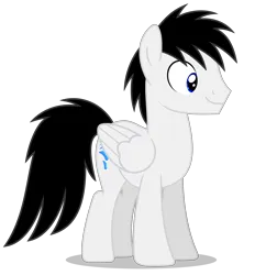 Size: 4664x5017 | Tagged: safe, artist:creedyboy124, derpibooru import, oc, oc:shane park, unofficial characters only, pegasus, pony, image, male, pegasus oc, png, simple background, stallion, transparent background, wings