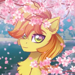 Size: 2500x2500 | Tagged: safe, artist:stesha, derpibooru import, braeburn, earth pony, pony, background, cherry blossoms, commission, flower, flower blossom, high res, image, lake, looking at you, male, petals, png, smiling, solo, stallion, two toned mane, water, ych result, your character here